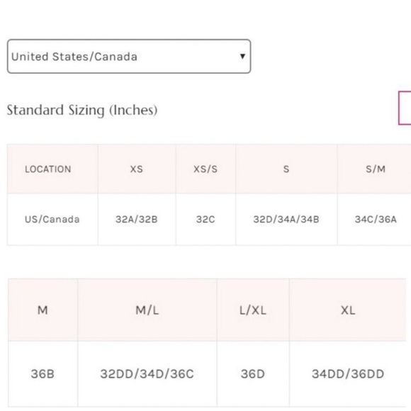 Free People Wild Bunch Thong Bodysuit In Cinnamon Rose NWT - Picture 6 of 8